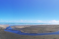 20190119 Piha Beach 01