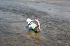 20190119 Piha Beach 04