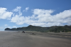 20190119 Piha Beach 05