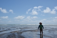 20190119 Piha Beach 08