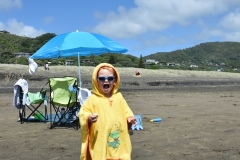 20190119 Piha Beach 10