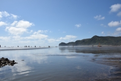 20190119 Piha Beach 12
