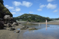 20190119 Piha Beach 16