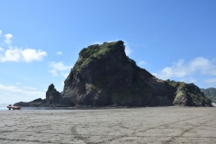 20190119 Piha Beach 18