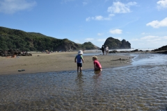 20190119 Piha Beach 19