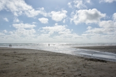 20190119 Piha Beach 27