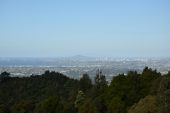 Ausblick vom Elevation Cafe Richtung Auckland