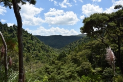 20190204 Piha 08
