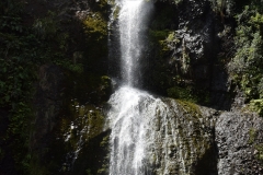 20190204 Piha 17
