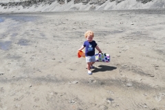 20190204-Piha-21