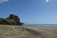 20190204 Piha 24