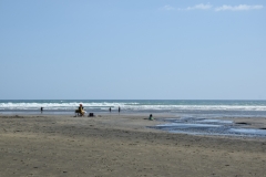 20190204 Piha 25