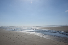 20190204 Piha 31