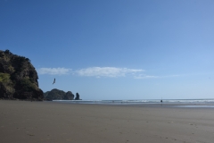 20190204 Piha 32