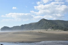 20190204 Piha 34
