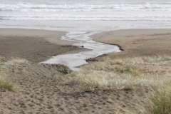 20190427-Hochzeit-Piha-Beach-100