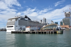 20190313-Rangitoto-Volcanic-Island-02