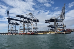 20190313-Rangitoto-Volcanic-Island-04