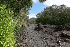 Unser Ziel ist am Horizont sichtbar...