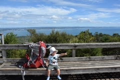 20190313-Rangitoto-Volcanic-Island-17