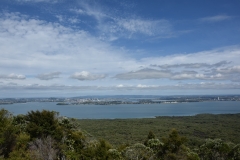 20190313-Rangitoto-Volcanic-Island-19
