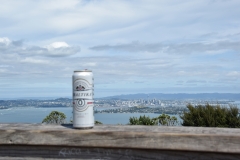 20190313-Rangitoto-Volcanic-Island-26