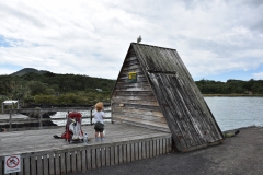 20190313-Rangitoto-Volcanic-Island-54