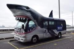 20190320-Sea-Life-Kelly-Tarltons-Aquarium-02