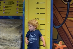 20190320-Sea-Life-Kelly-Tarltons-Aquarium-19