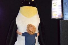 20190320-Sea-Life-Kelly-Tarltons-Aquarium-40