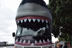 20190320-Sea-Life-Kelly-Tarltons-Aquarium-41