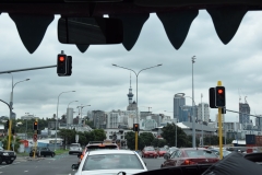 20190320-Sea-Life-Kelly-Tarltons-Aquarium-42