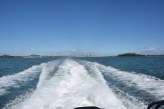 20190321-Waiheke-Sculpture-Walk-and-Beach-02