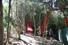 20190321-Waiheke-Sculpture-Walk-and-Beach-27