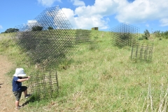 20190321-Waiheke-Sculpture-Walk-and-Beach-40