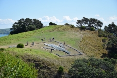 20190321-Waiheke-Sculpture-Walk-and-Beach-41