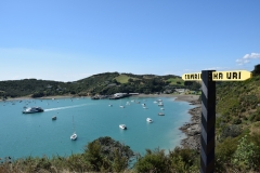 20190321-Waiheke-Sculpture-Walk-and-Beach-49