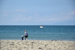 20190321-Waiheke-Sculpture-Walk-and-Beach-57