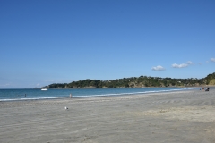 20190321-Waiheke-Sculpture-Walk-and-Beach-58
