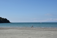 20190321-Waiheke-Sculpture-Walk-and-Beach-59
