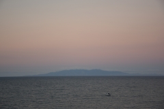 20190321-Waiheke-Sculpture-Walk-and-Beach-62