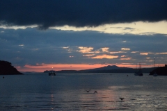 20190321-Waiheke-Sculpture-Walk-and-Beach-63