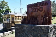 20190303-Auckland-Zoo-01