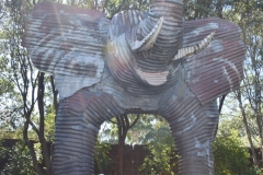 20190303-Auckland-Zoo-02