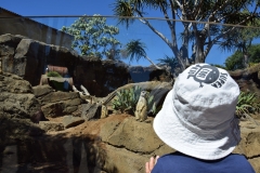 20190303-Auckland-Zoo-12