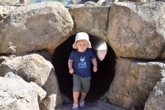 20190303-Auckland-Zoo-14