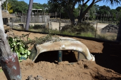 20190303-Auckland-Zoo-15